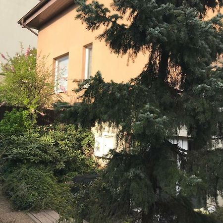 City Morning 5 Adults Only Гдыня Экстерьер фото